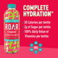 Roar Organic Electrolyte Infusions - Usda Organic - Cucumber Watermelon - With Antioxidants, B Vitamins, Low-Calorie, Low-Sugar, Low-Carb, Coconut Water Infused Beverage 18 Fl Oz (Pack Of 12)