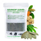 INJOY YOUR VITALGRI:N Soursop Leaf Tea Blend with Licorice Root, 5.22oz, Natural Herbal, Re-Steep Whole Leaf, No Sugar Added