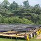 Ethiopia Unroasted Specialty Green Coffee Beans - Single Origin 100% Arabica - Bulk Wholesale Pricing (10 Pound Bag /4.5kg)