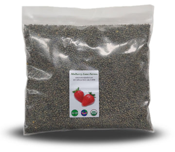 French Green Lentils 5 Pounds Petite, Usda Certified Organic, Non-Gmo Bulk, Product Of Usa, Mulberry Lane Farms