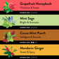Choice Organic Teas Sipping Box Tea Sampler  Variety Gift Box  32 Total Tea Bags  8 Flavors  Caffeinated and Caffeine-Free Teas  Sustainably Sourced Organic and Non-GMO Ingredients