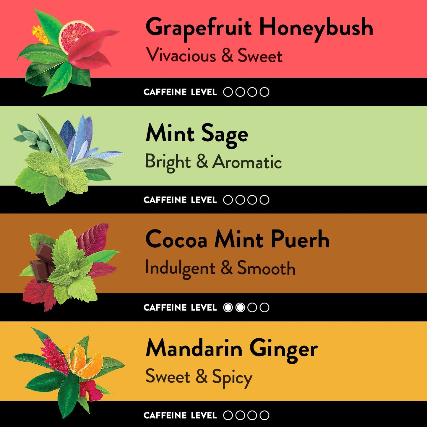 Choice Organic Teas Sipping Box Tea Sampler  Variety Gift Box  32 Total Tea Bags  8 Flavors  Caffeinated and Caffeine-Free Teas  Sustainably Sourced Organic and Non-GMO Ingredients