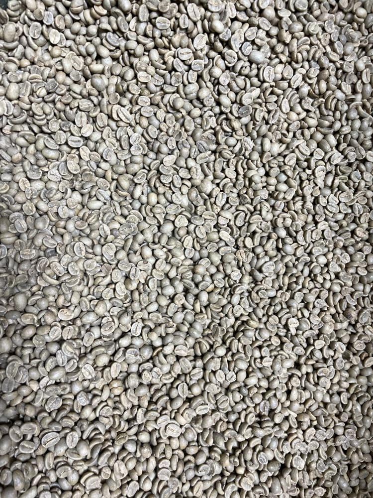 Smokin Beans 2-Pound Unroasted Green Coffee Beans, Guatemala Washed, Fresh Specialty Grade, 32 Ounce