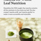 HAYASHIYA Matcha Powder - Wakamatsu - Kyoto Uji Ceremonial Grade, First Harvest Authentic Japanese Matcha Green Tea Powder (30g