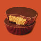 REESES Milk Chocolate Peanut Butter Cup Bar  16 oz.  1 lb