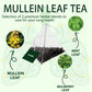 SIRDIKA Mullein Tea Bags - 20 Teabags, 100% Pure Natural Herbal Tea, Caffeine Free, 2 BOX