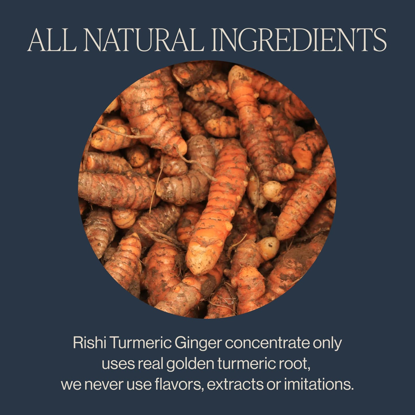 Rishi Tea Turmeric Ginger Chai Latte - Organic Herbal Tea Concentrate - 32 Fl Oz (Pack of 3) - Caffeine Free Chai Mix