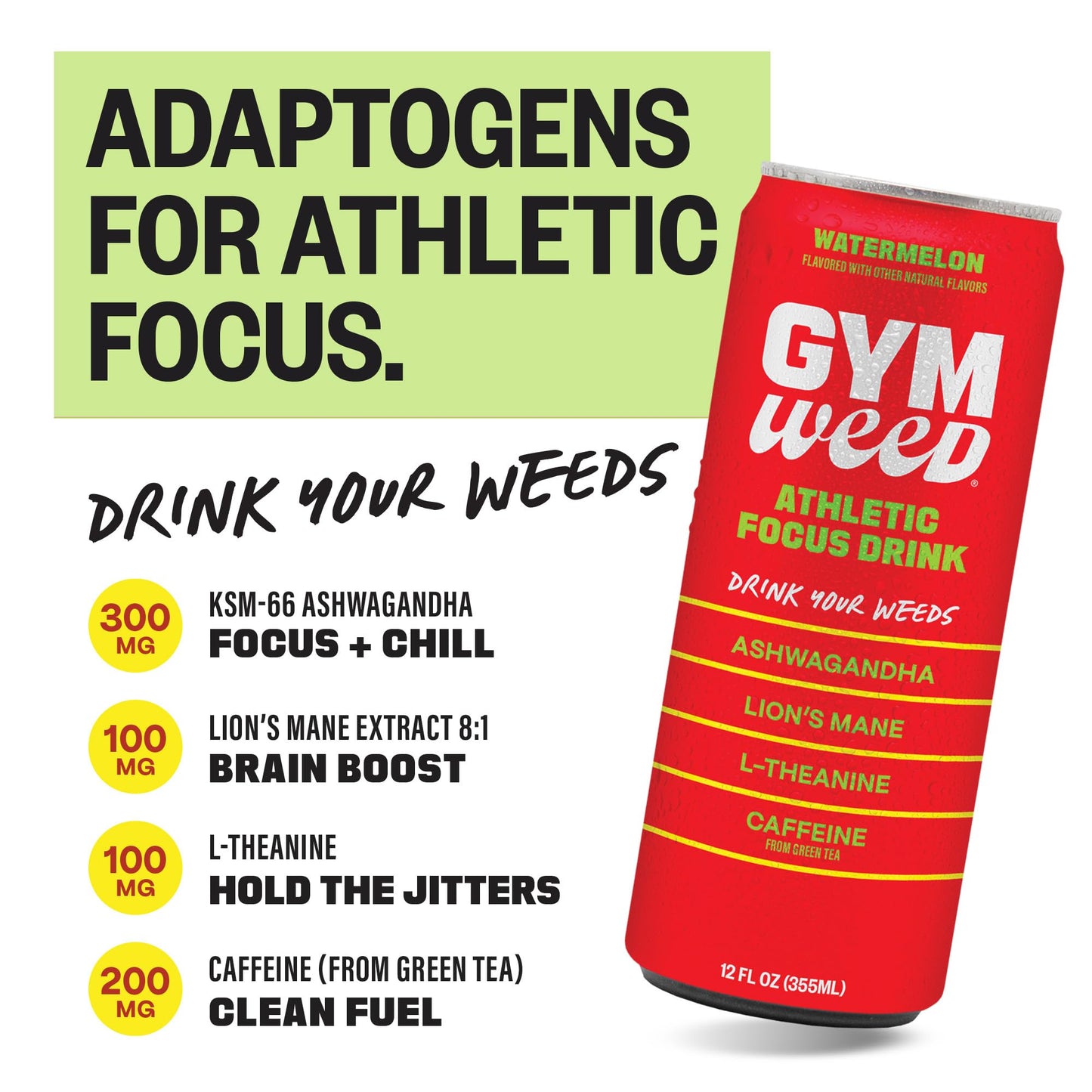 GYM  Athletic Focus Drink with KSM-66 Ashwagandha  Lions Mane Mushroom  L-Theanine  200mg Green Tea Caffeine with Natural Sweeteners Sour and Sweet Variety of Flavors  12 Pack