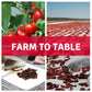Berrilys Organic Sun-Dried Tomatoes, Salted, No Sulfur, No Preservatives, Kosher, Raw, Non-GMO, Great Ingredient for Baking and