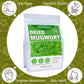 Jarteela Premium Dried Mugwort Herbs - 2oz Loose Leaf - Non-GMO, Caffeine-Free