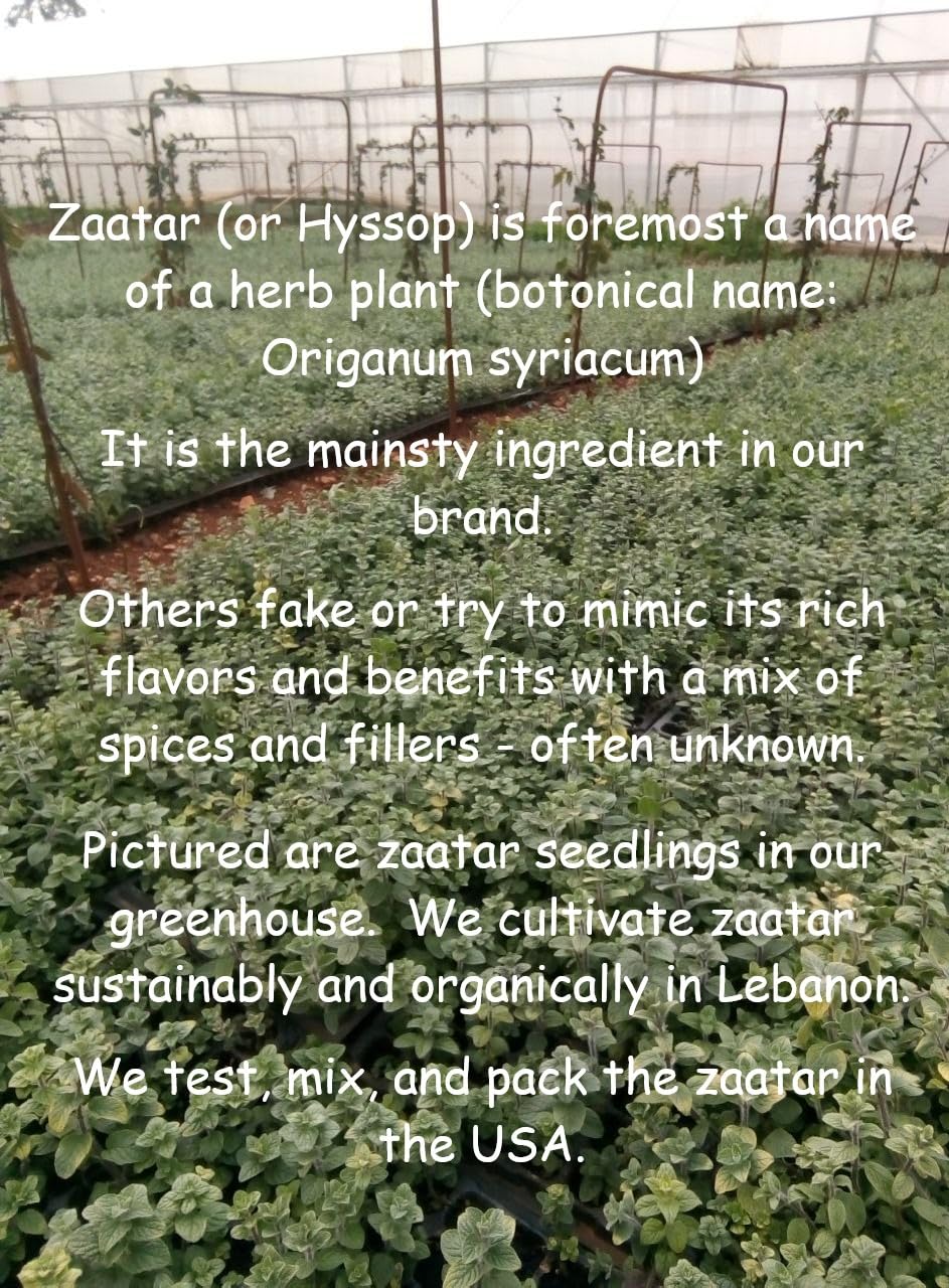 Zaatar By Tyme Foods - With Genuine Hyssop Herb (Origanum Syriacum) - Real Za'Atar Seasoning Spice Blend