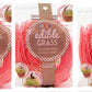 Grandys Candys Edible Easter Grass Bundle - Green Apple, Blueberry, Strawberry Flavors - 3 Pack