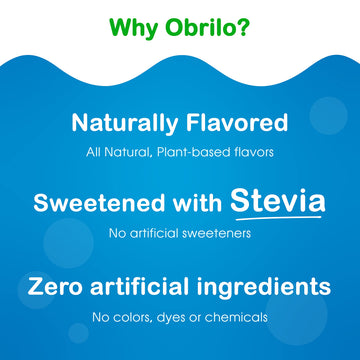 Stevia Infused, Sugar Free, Zero Calorie, All Natural Liquid Water Enhancer (Fruit Punch, Pack Of 3)