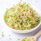 Food To Live Alfalfa Seeds For Sprouting, 3 Pounds - Edible Seeds, Pure, Vegan, Kosher, Bulk. Rich In Vitamin K & C. High Germit