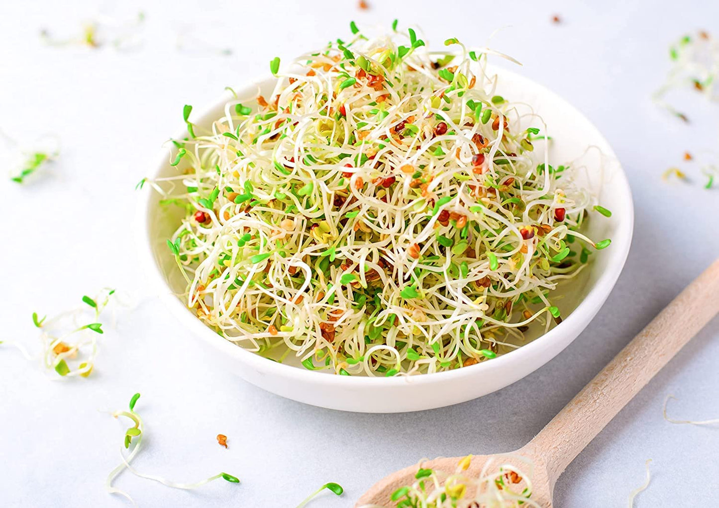 Food To Live Alfalfa Seeds For Sprouting, 3 Pounds - Edible Seeds, Pure, Vegan, Kosher, Bulk. Rich In Vitamin K & C. High Germit