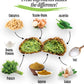 Kareems Frozen Falafel - Vegan/Gluten-Free Authentic 4LB (64oz) Fresh/Frozen Falafel Mix (Uncooked & Oil Free)