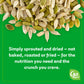 Go Raw Organic Sprouted Pumpkin Seeds, 14 oz, Sea Salted, Keto, Kosher, Superfood
