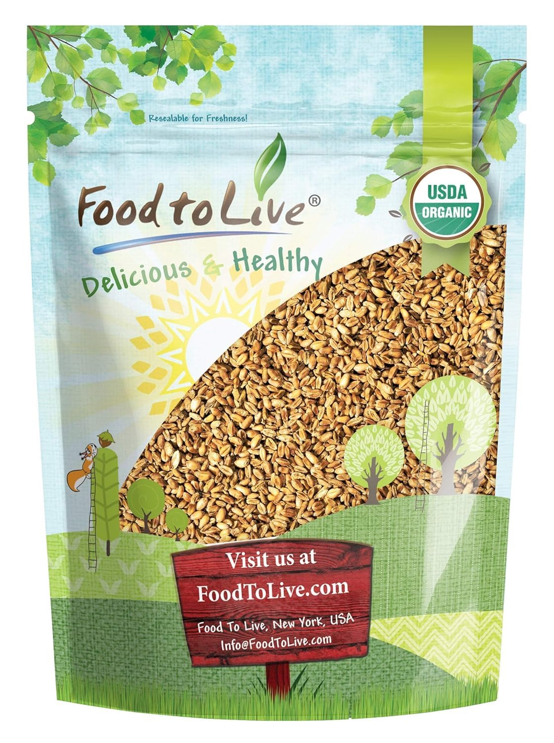 Food to Live Organic Oat Groats, 1 Pound - 100% Whole Grain, Non-GMO Seeds, Kosher, Raw, Non-Irradiated, Vegan, Bulk, Low Glycem