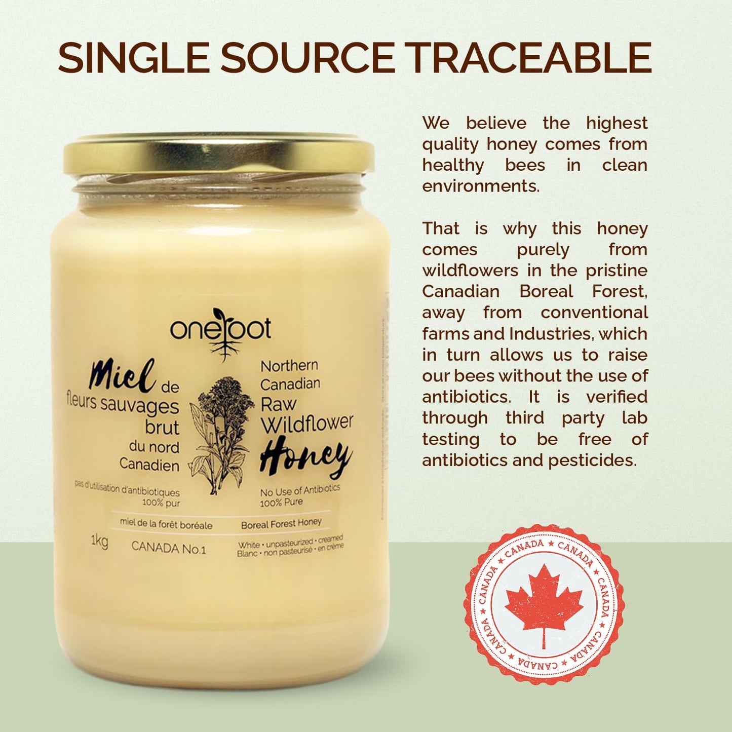 Oneroot 100% Canadian Flower Honey - 1kg / 2.2lbs, Honey Wildflower Unfiltered, Unheated & Creamed, Nutrient Rich Raw Wildflower