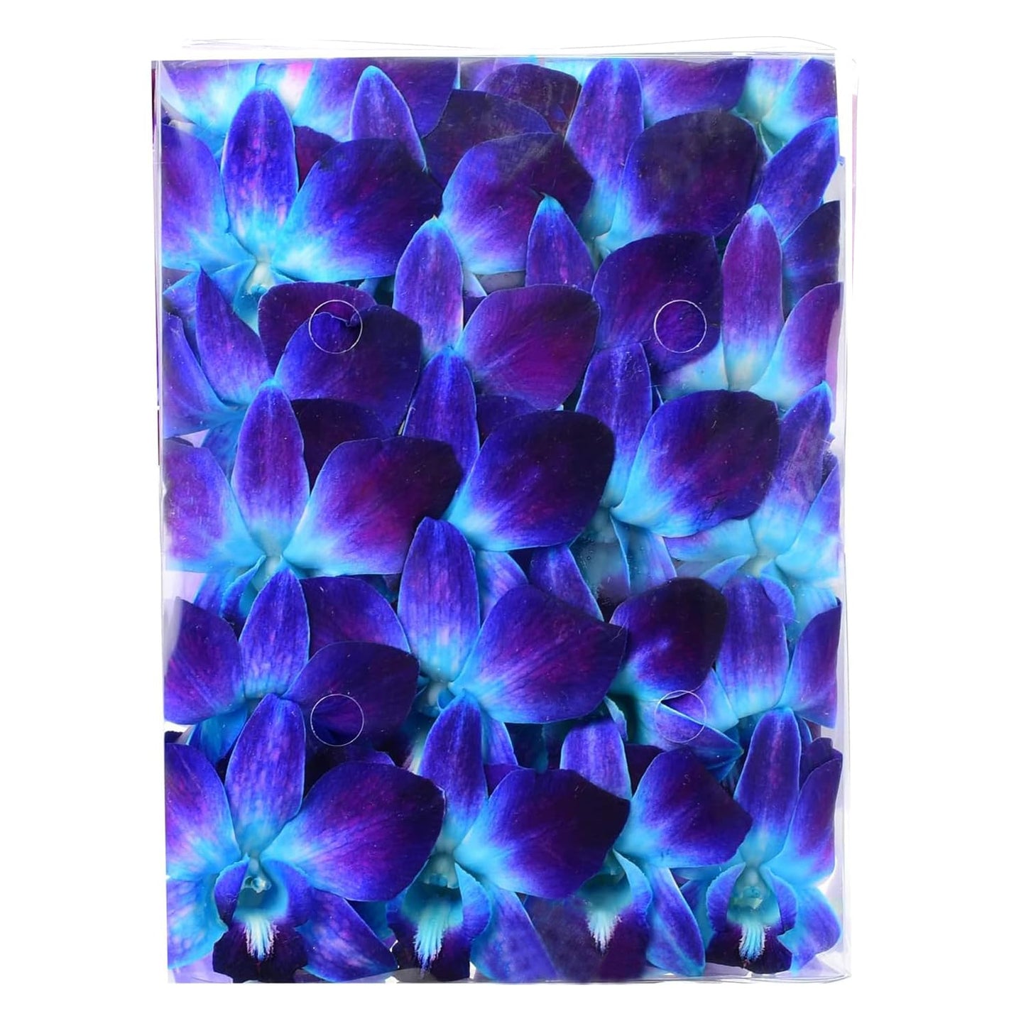 Sunne Tropical Fresh Orchid Loose Bloom DIY Lei, 50 BLUE, Model ORC-LBS-BLU50, Food & Drink Decoration