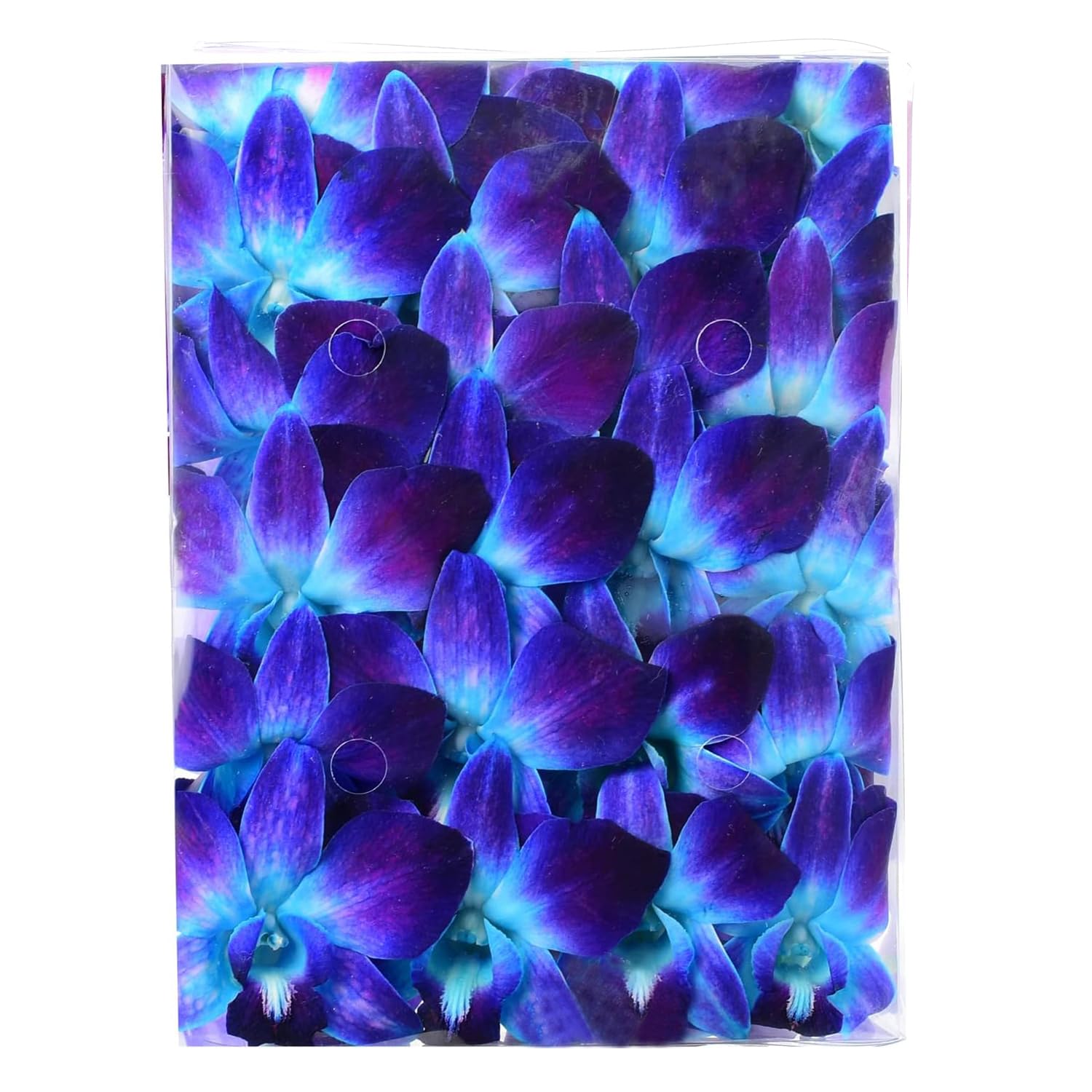 Sunne Tropical Fresh Orchid Loose Bloom DIY Lei, 50 BLUE, Model ORC-LBS-BLU50, Food & Drink Decoration