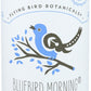 Flying Bird Botanicals Bluebird Morning Tea, 15 Ct