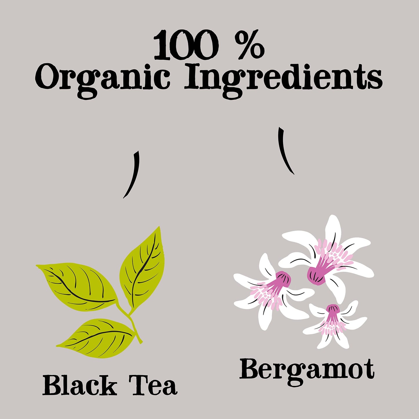Clipper Tea Organic Earl Grey - USDA Organic, Non-GMO, Fair Trade, Sustainable Caffeinated Tea, 1 Pack, 20 Unbleached Tea Bags