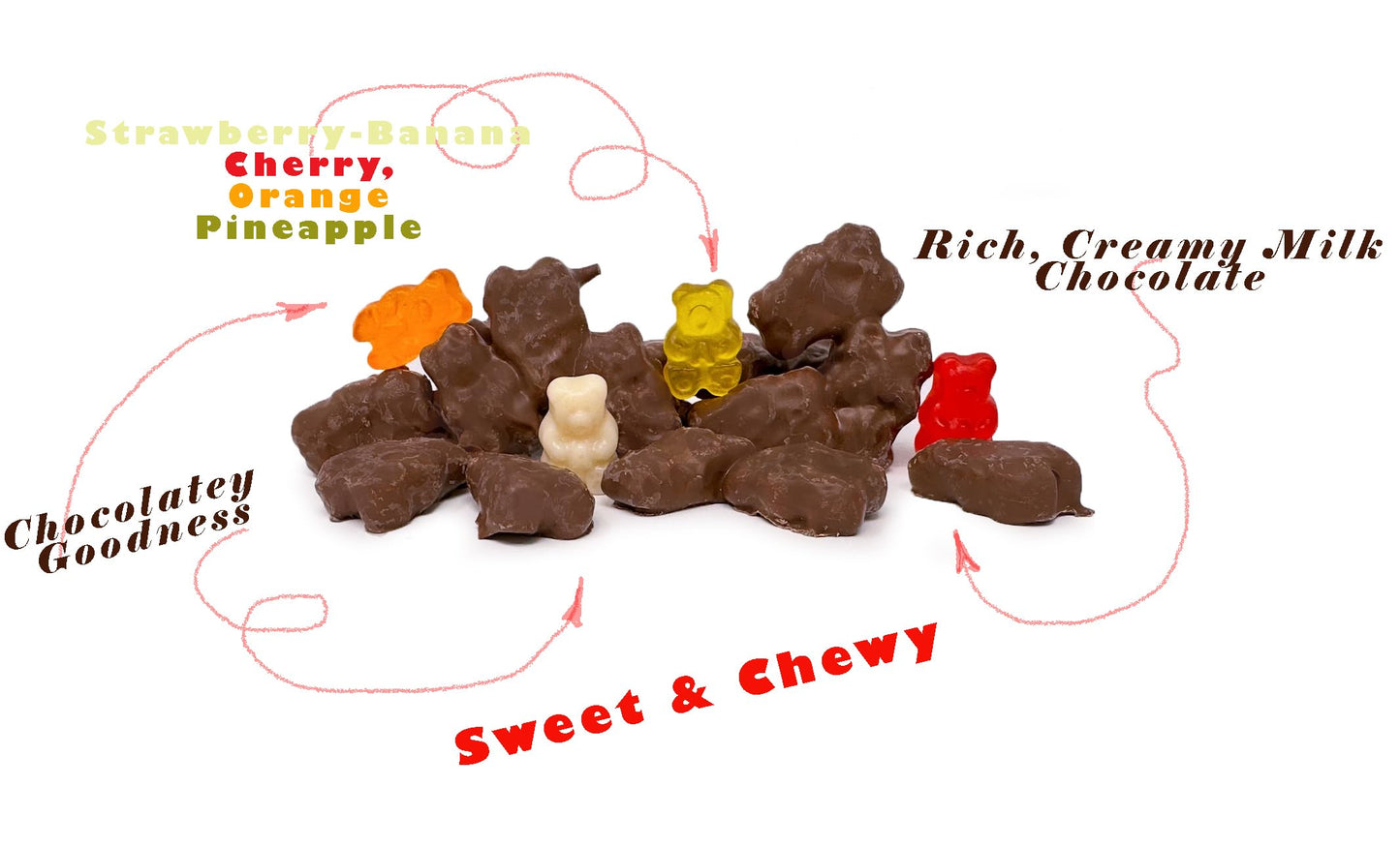 Sweetgourmet Milk Chocolate Covered Gummy Bears | Cherry, Orange, Pineapple, Strawberry/Banana | 1 Pound