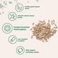 Organic Sunflower Seeds  4lbs | Raw  Unsalted  & Shelled - Whole Kernels | Low Carb Snack | Great for Baking  Smoothies  & Salad Toppings | Non-GMO  Vegan  Plant Based
