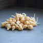 Dried Garbanzo Beans- Organic Sprouting Seeds - 1 Lbs - Handy Pantry Brand - Dry Garbonzo Bean / Seeds - For Planting, Gardening