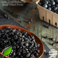 Gerbs Dried Blueberries 4 lbs. | Unsulfured, No Additives, Resealable Bag | Naturally Sweet & Tart | Top 14 Allergen-Free