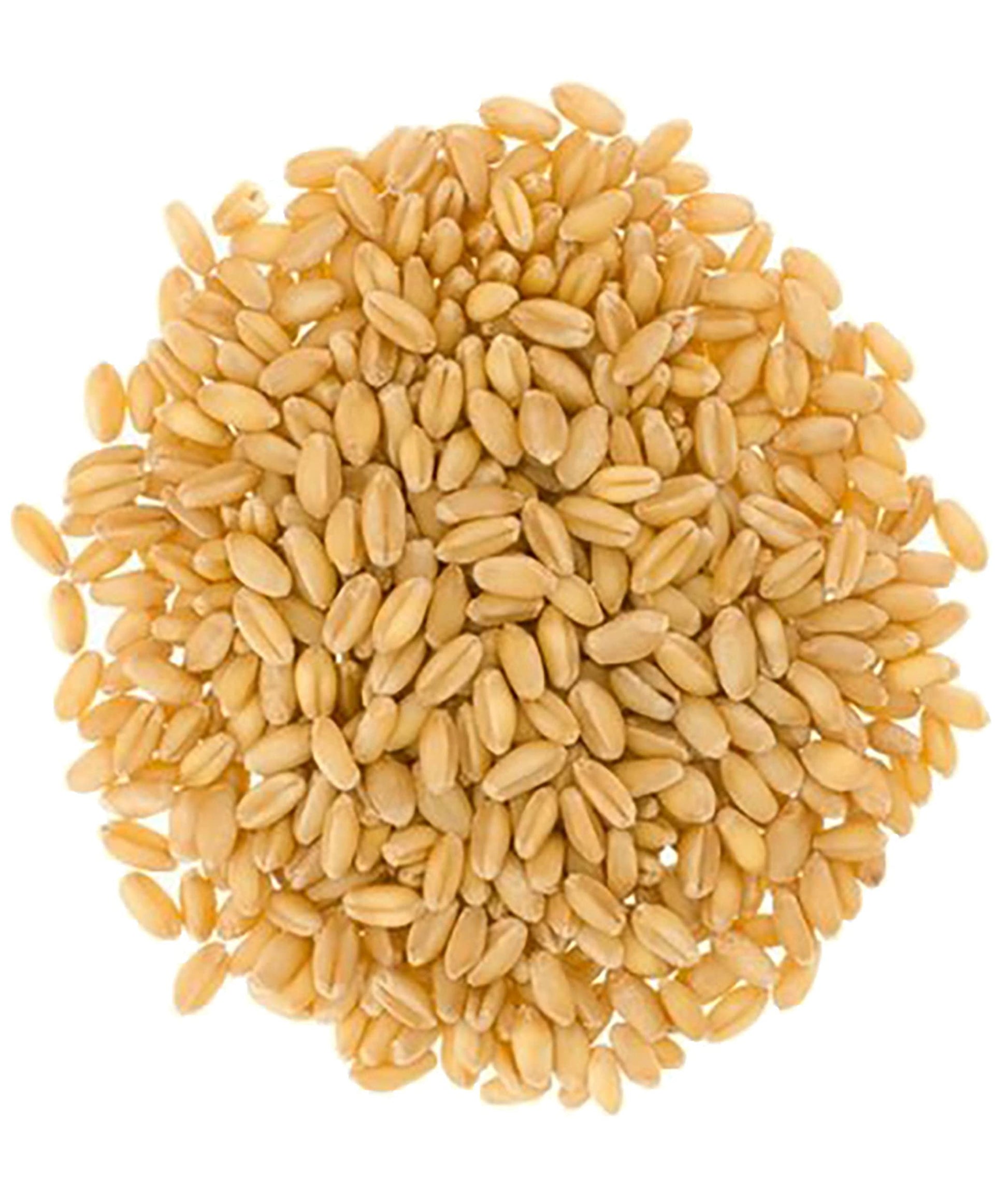 Palouse Brand Soft White Wheat Berries, 18 lbs, Certified Glyphosate Residue Free, Non-GMO, Kosher, Family Farmed in Washington State