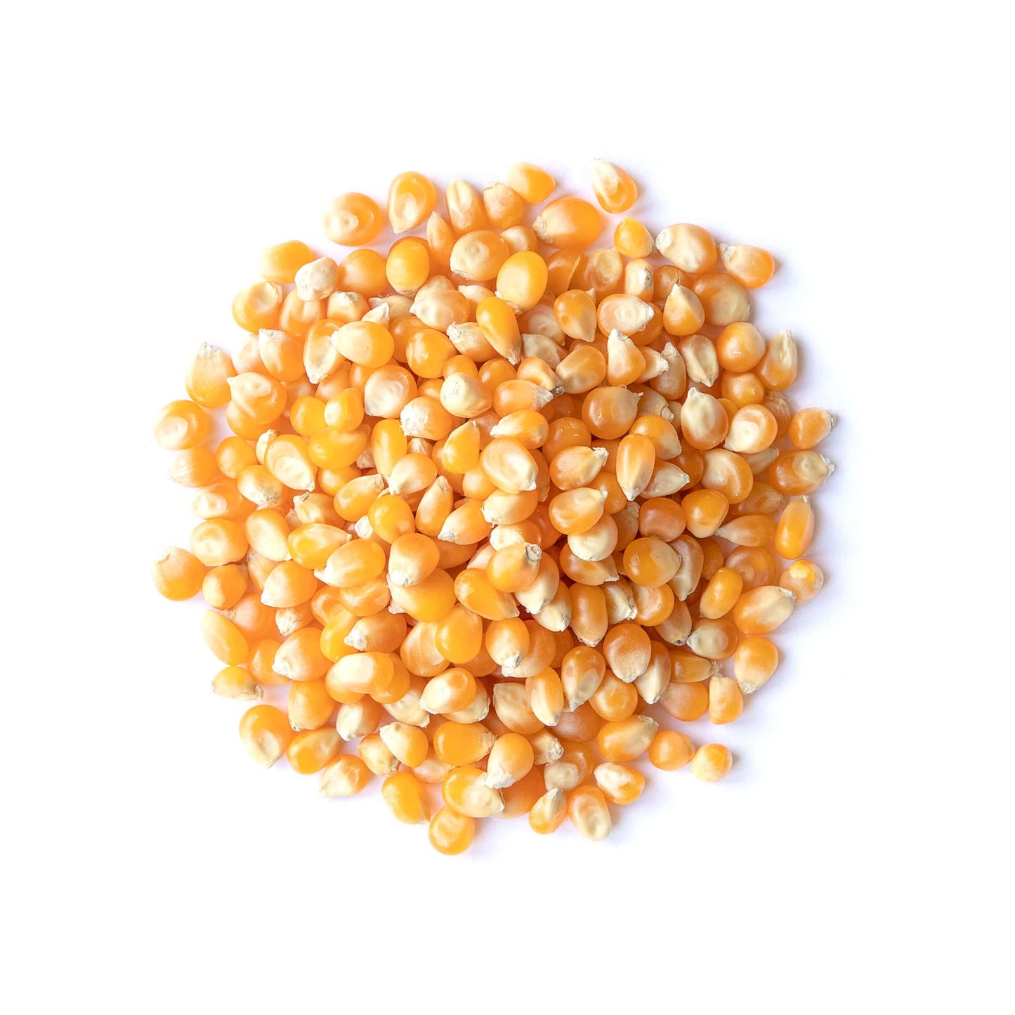 Food to Live Organic Yellow Popcorn - Non-GMO Corn Kernels, 100% Whole Grain, No Additives, No Preservatives, Vegan, Bulk. Theat