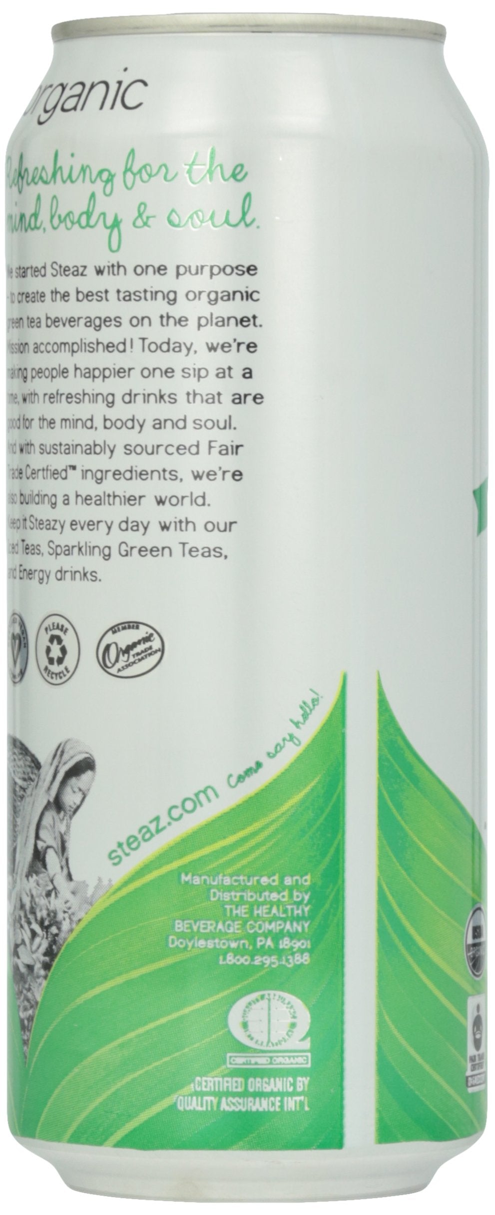 Steaz Organic Iced Green Tea, Mint, 16 Oz
