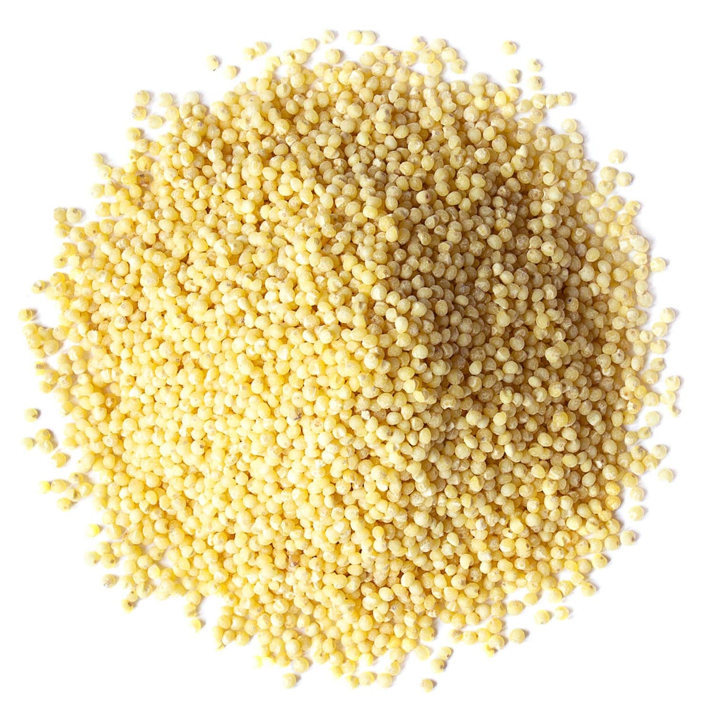 Food To Live Hulled Millet, 1 Pound - Whole Grain Seeds, Kosher, Raw, Bulk