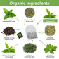 CogniTea Productive Energy Tea - 100mg L-Theanine, 90mg Caffeine, Organic Guayusa & Yerba Mate, Assam Black Tea