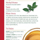 Traditional Medicinals Organic Throat Coat Herbal Tea - 16 Tea Bags - Case of 6