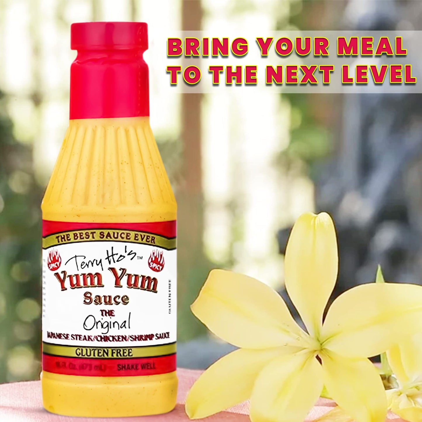 Terry Ho'S Yum Yum Spicy Sauce 16 Oz - Sweet And Tangy Japanese Sauce For Dipping, Marinades, And Dressings - Perfect For Differ