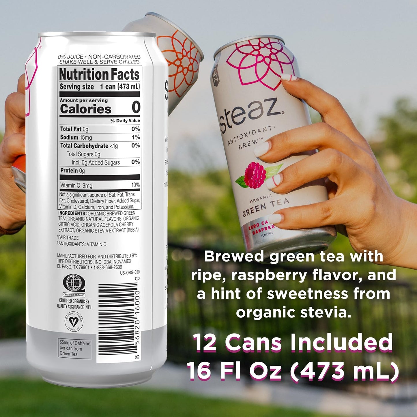 Steaz Organic Green Tea Zero Calorie Raspberry - Antioxidant Brew - 16 Fl Oz (Pack of 12) - 65mg Caffeine - Vegan, Fair Trade