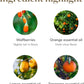 Young Living NingXia Red Antioxidant Drink, Superfruit dietary product, 25.35 fl oz, Pack of 2