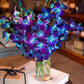 KaBloom Flowers - Mothers Day Collection - 20 Blue Orchid with vase  Gift for Birthday  Sympathy  Anniversary  Get Well  Thank You  Valentine  Mothers Day Fresh Flowers