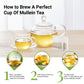 enhanced 60 Mullein Tea Bags For Lungs - 100% Pure Mullein Leaf | For Lung Health & Respiratory Wellness Support | Caffeine Free - No Additives & Non-GMO | Plastic-Free  Plant-Based Tea Bags