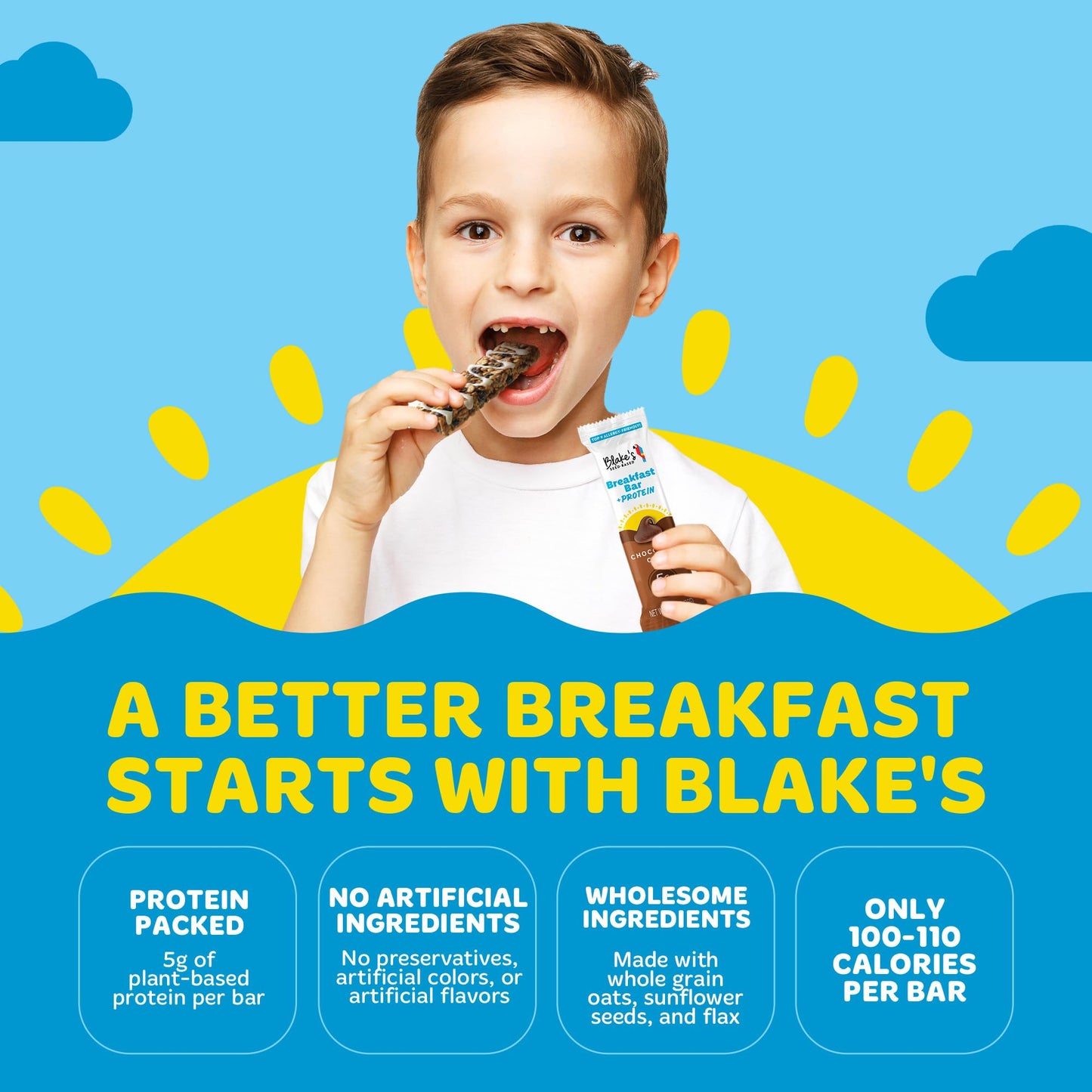 Blakes Seed Based Breakfast Bars with Protein - Variety Pack (24 Count)  5g Clean Plant-Based Protein  Gluten Free  Nut Free  Dairy Free & Vegan  Healthy Snacks for Kids or mature-themeds  School Safe