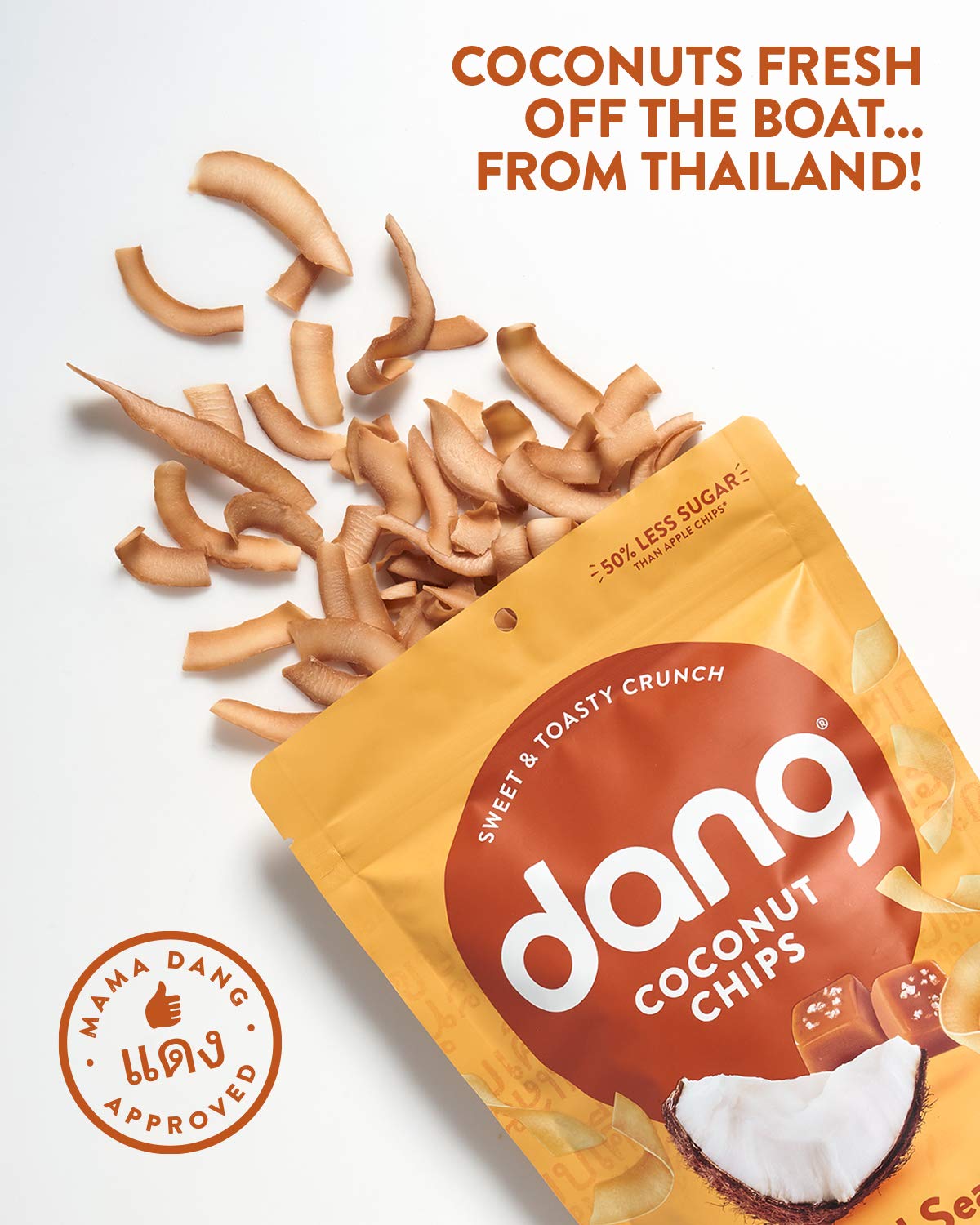 DANG Toasted Coconut Chips | Vegan, Gluten Free, Non GMO | Caramel Sea Salt | 3.17 Ounce (Pack of 6)