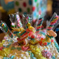 Sour Gummy Candy Mix | 2-Pound Pack | Belts, Peach Rings, Watermelon Wedges, Worms, Bears - Party Favors
