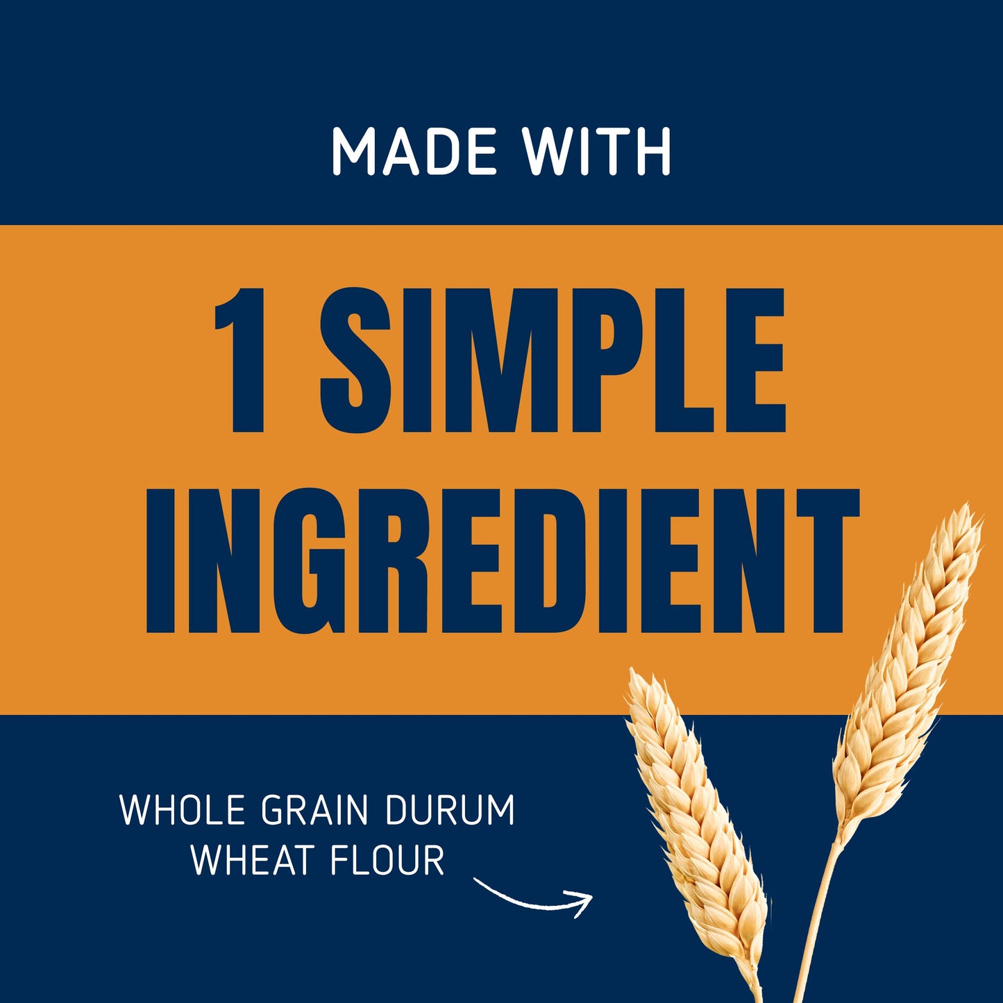 Barilla Whole Grain Rotini Pasta, 16 Oz. Box (Pack Of 12) - Non-Gmo Pasta Made With 100% Whole Grain Durum Wheat - Great Source Of Fiber