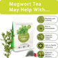 SAMCCI Mugwort Tea Bags - 100% Natural Dried Leaves, Vegan, Caffeine-Free - 50 Count