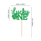 Ercadio 24 Pack St Patrick'S Day Lucky One Cupcake Toppers Four Leaf Lucky One Cupcake Toppers St. Patrick 1St Cupcake Picks For