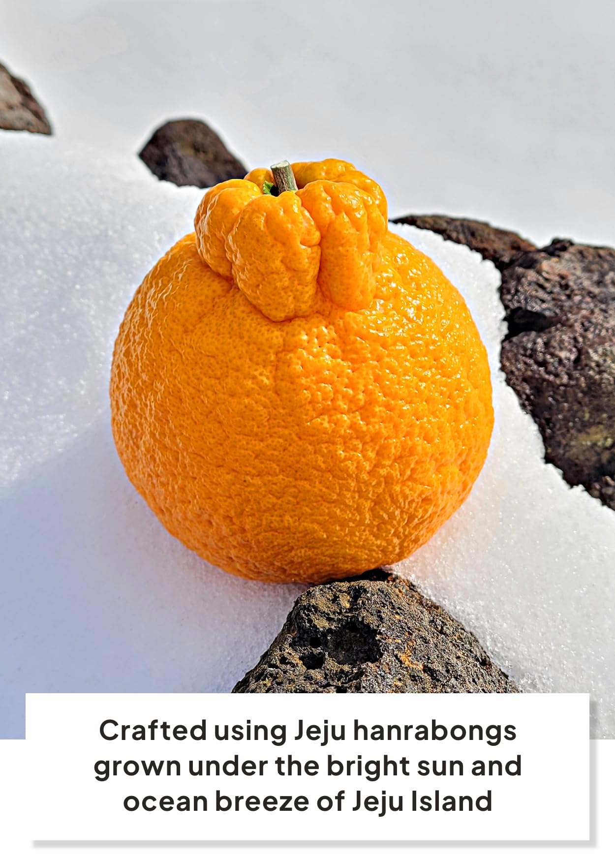Korean Food Jeju Island Hallabong Cookies (6.77oz, 12ea) Hanrabong, Tangerines from Jeju Island, Korean Dessert, Korean Snack, g