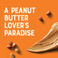 CLIF Nut Butter Bar - Variety Pack - Peanut Butter Filled Energy Bars - Non-GMO - USDA Organic - Plant-Based - Low Glycemic - 1.